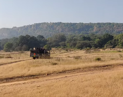 Forest and landscape of Ranthambore National Park